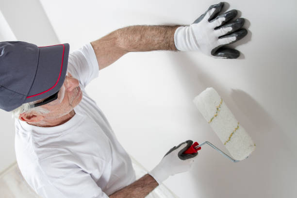 Reliable Balch Springs, TX Mold Removal Solutions
