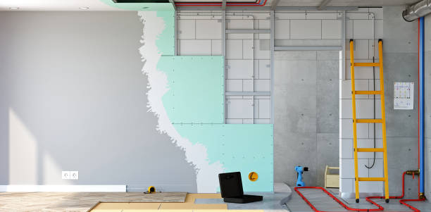 Best Water Damage & Mold Remediation  in Balch Springs, TX