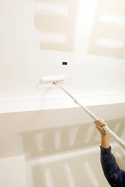 Mold Documentation for Insurance Claims in Balch Springs, TX