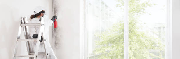 Best Mold Documentation for Insurance Claims  in Balch Springs, TX